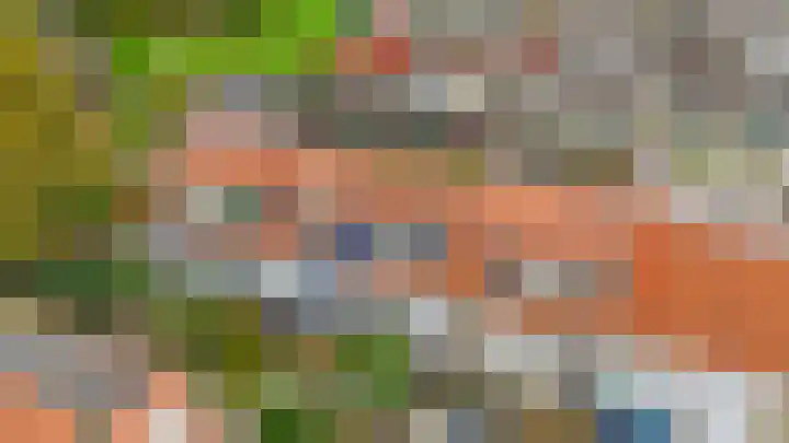 Tuinstraat 64 Dirksland thumbnail 28