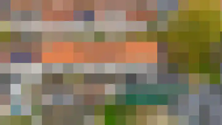 Tuinstraat 64 Dirksland thumbnail 29