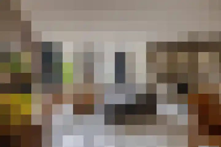 Tuinstraat 64 Dirksland thumbnail 8