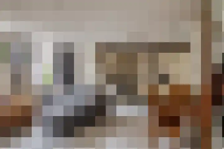 Tuinstraat 64 Dirksland thumbnail 9