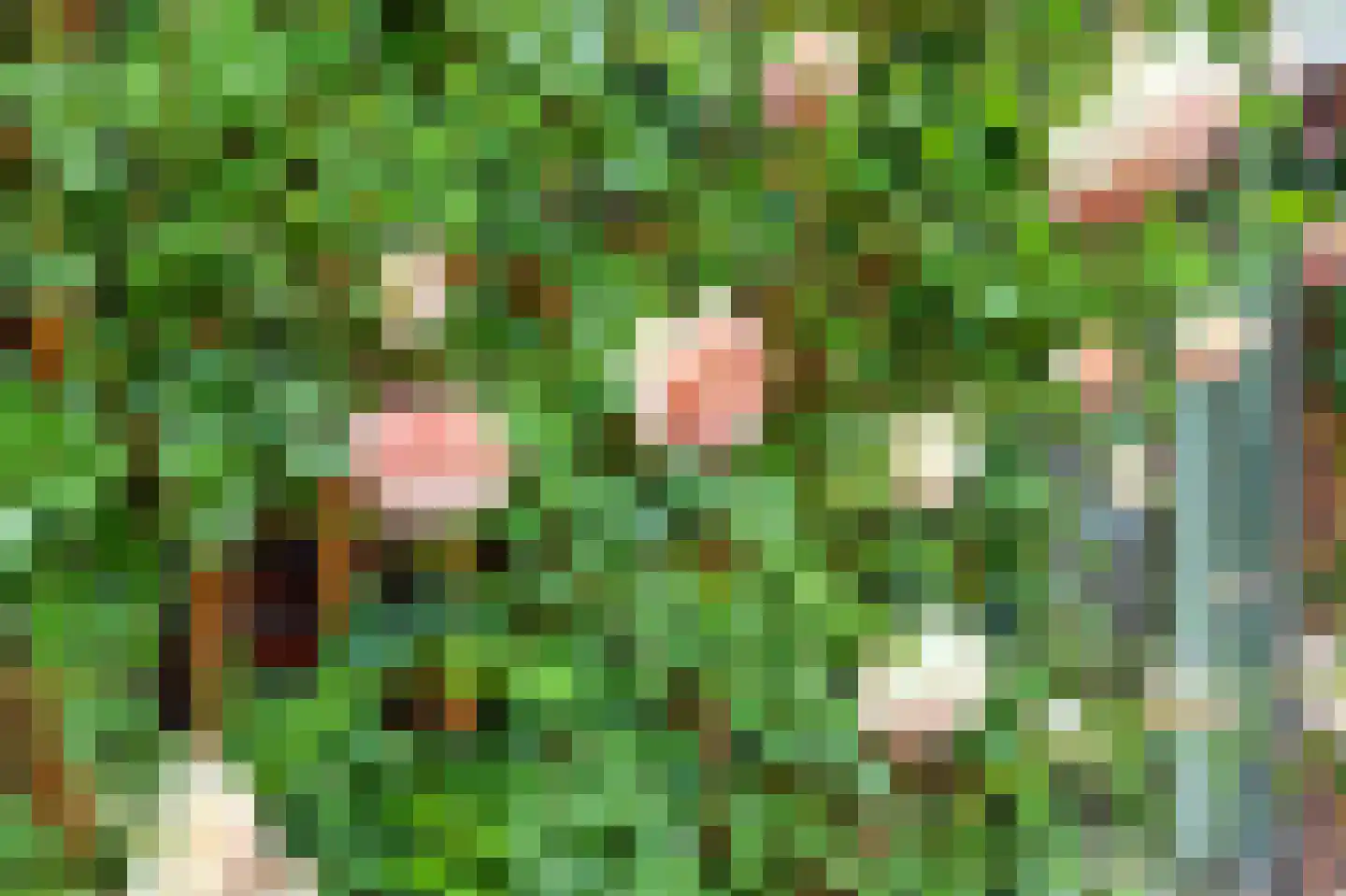 Tuinstraat 65 A Voorst thumbnail 39