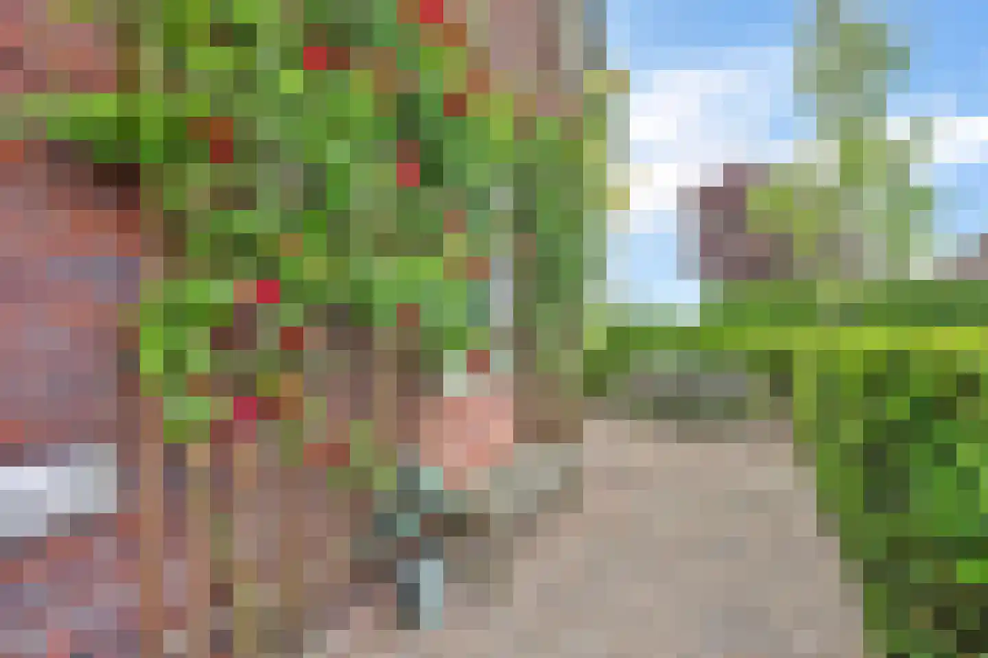 Tuinstraat 65 A Voorst thumbnail 5
