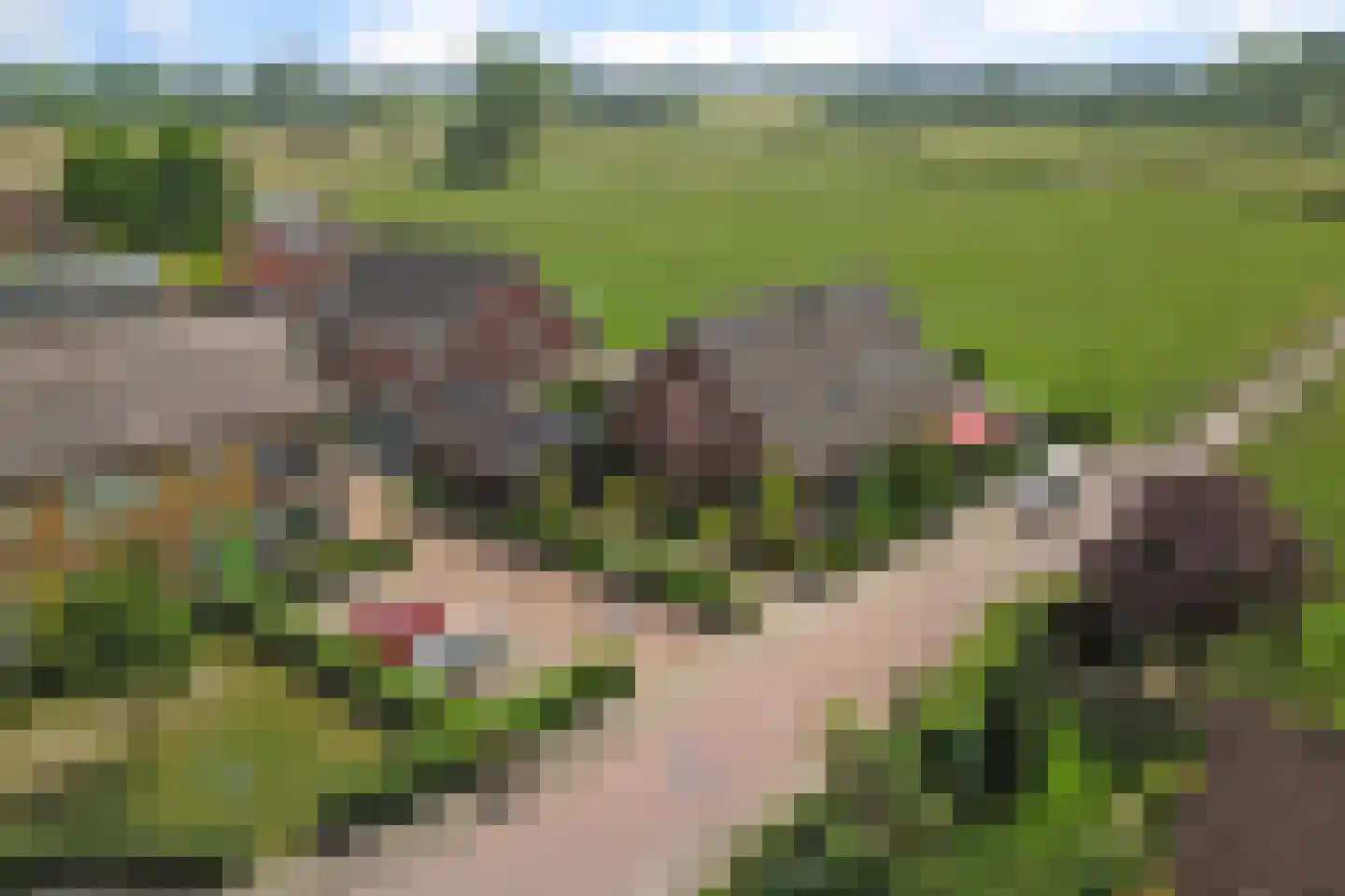 Tuinstraat 65 A Voorst thumbnail 54