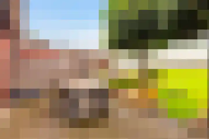 Tuinstraat 65 C Voorst thumbnail 5