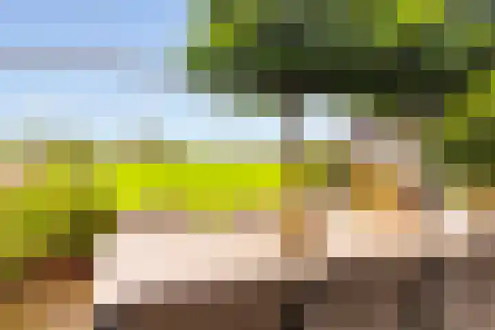 Tuinstraat 65 C Voorst thumbnail 8