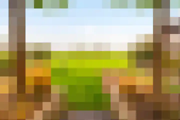 Tuinstraat 65 C Voorst thumbnail 9