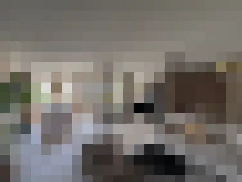 Tuinstraat 65 Wormerveer thumbnail 12