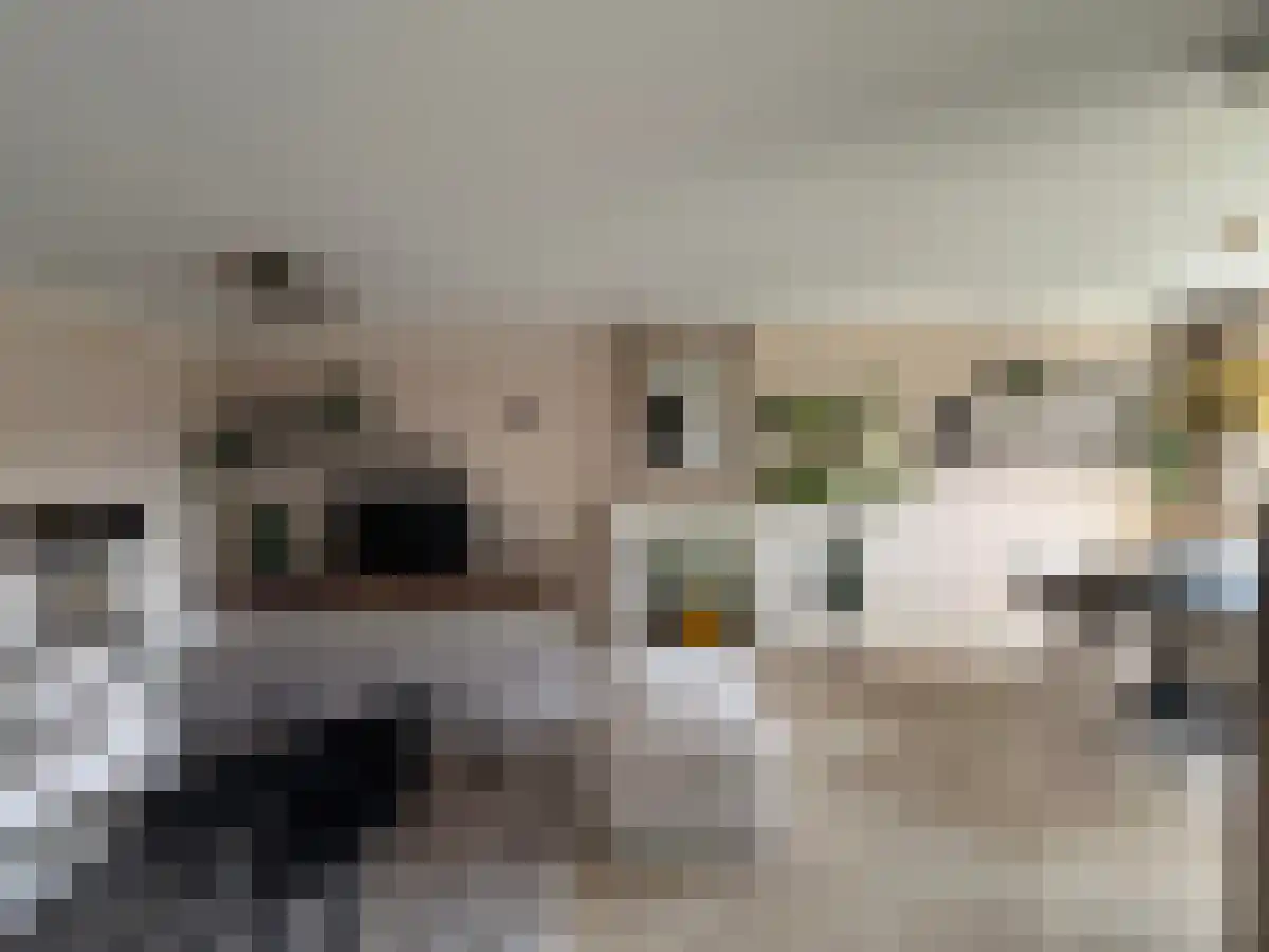 Tuinstraat 65 Wormerveer thumbnail 4