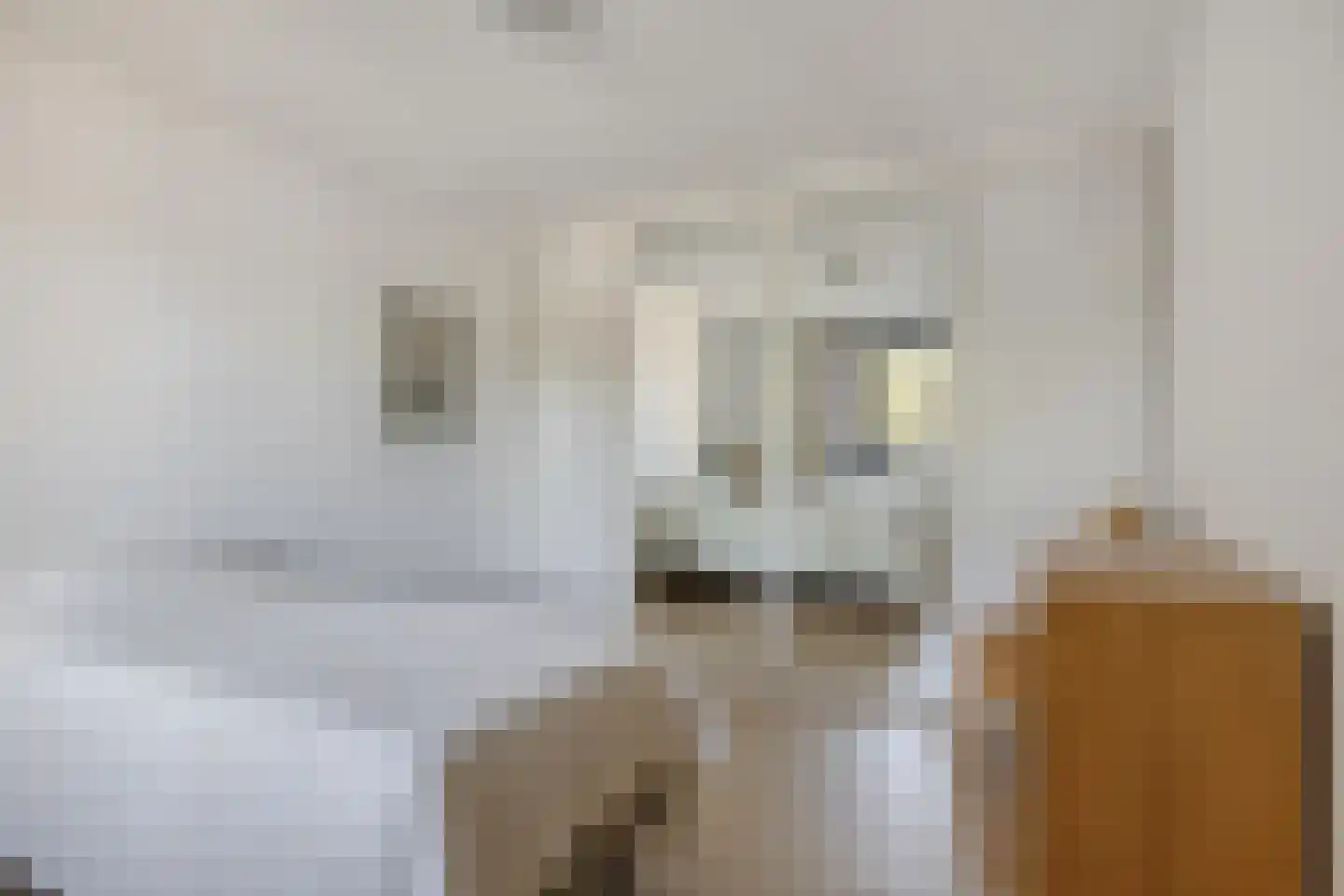 Tuinstraat 7 Asten thumbnail 23