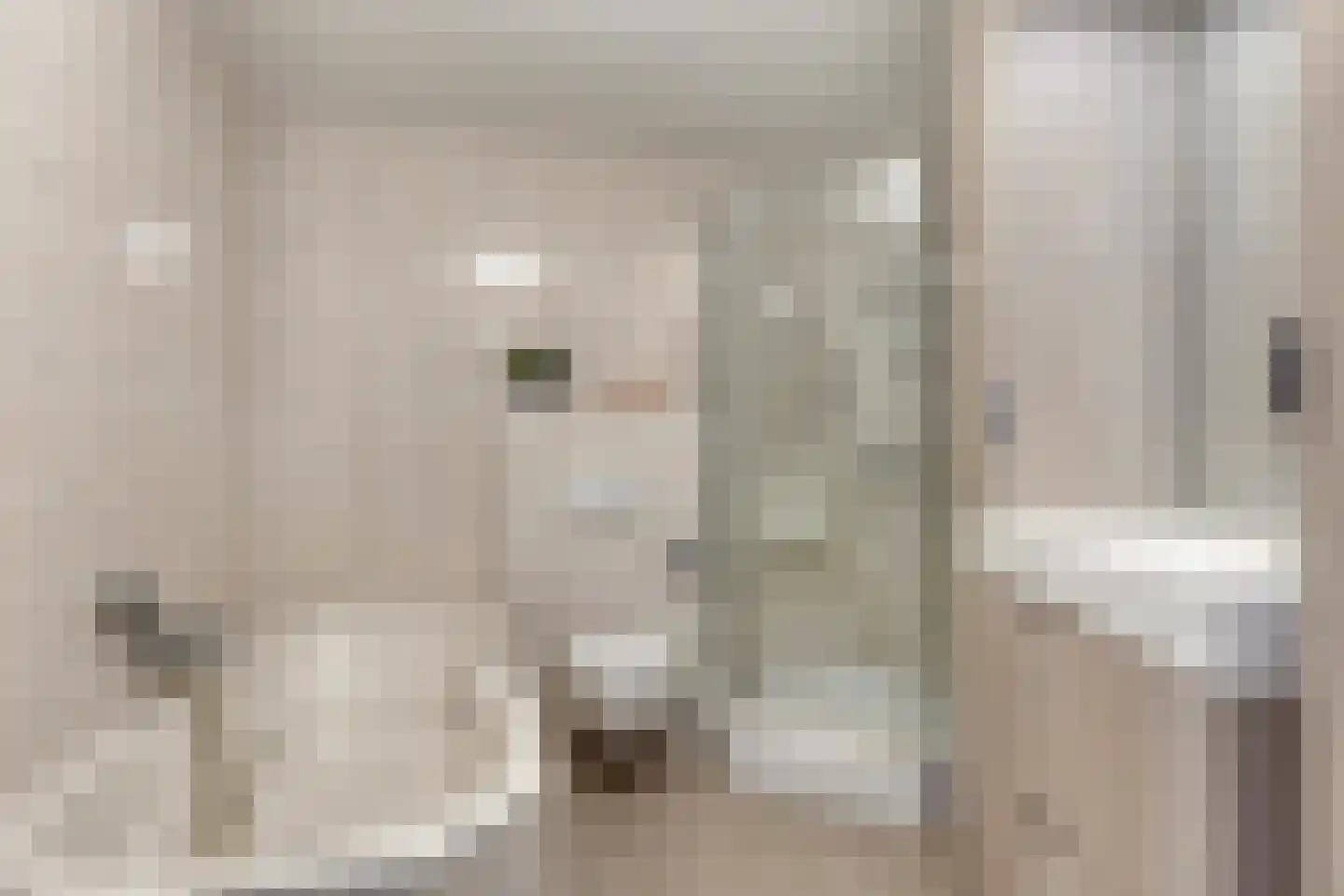 Tuinstraat 7 Asten thumbnail 25