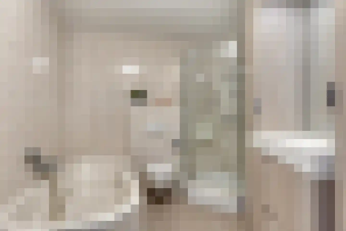 Tuinstraat 7 Asten thumbnail 25