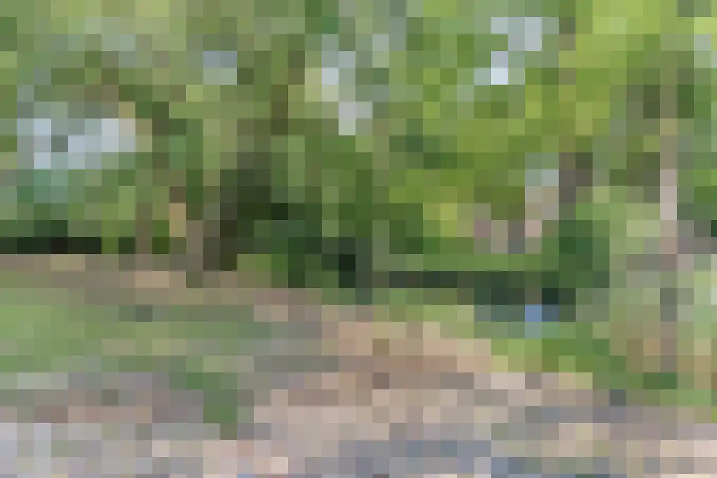 Tuinstraat 7 Asten thumbnail 32