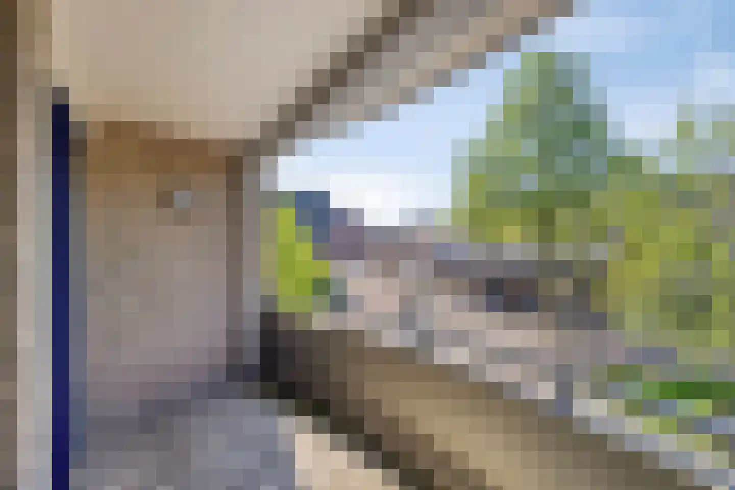 Tuinstraat 7 Asten thumbnail 4