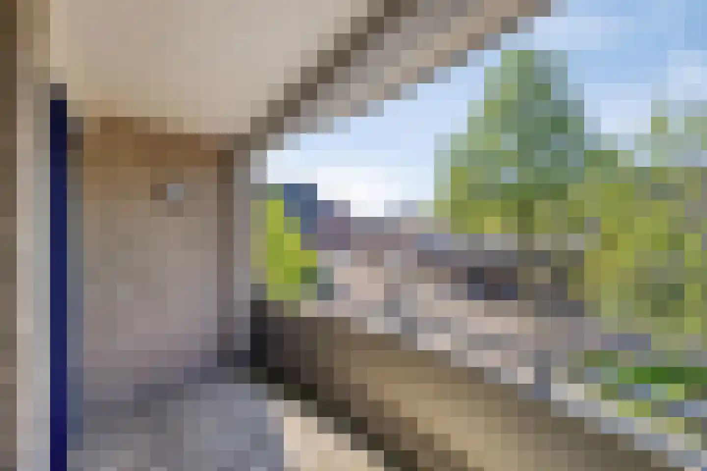 Tuinstraat 7 Asten thumbnail 4