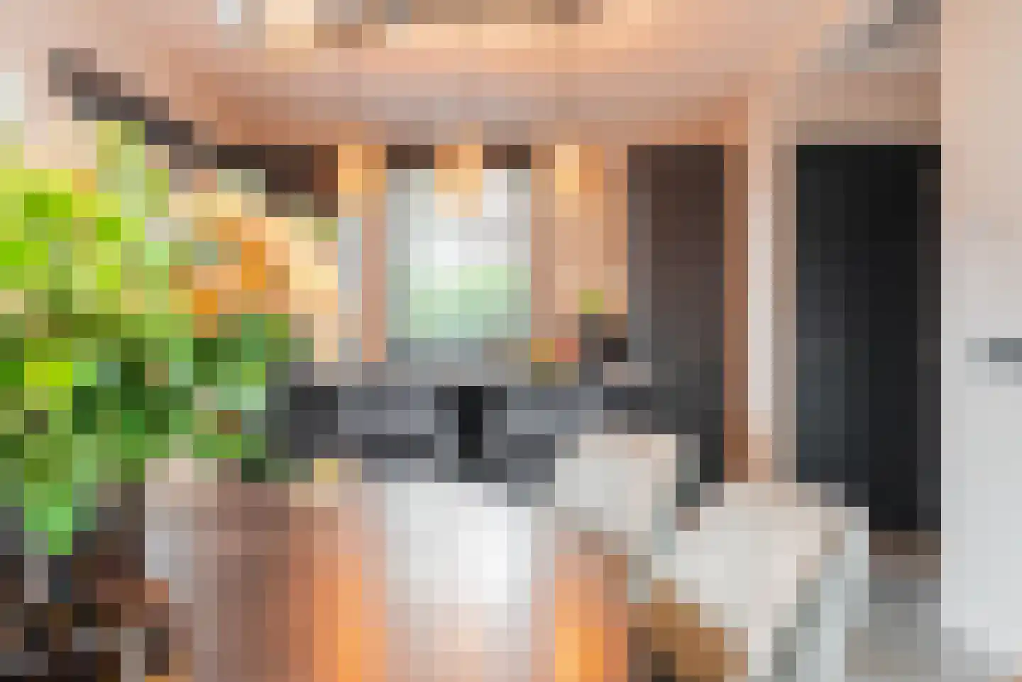 Tuinstraat 7 Budel thumbnail 11