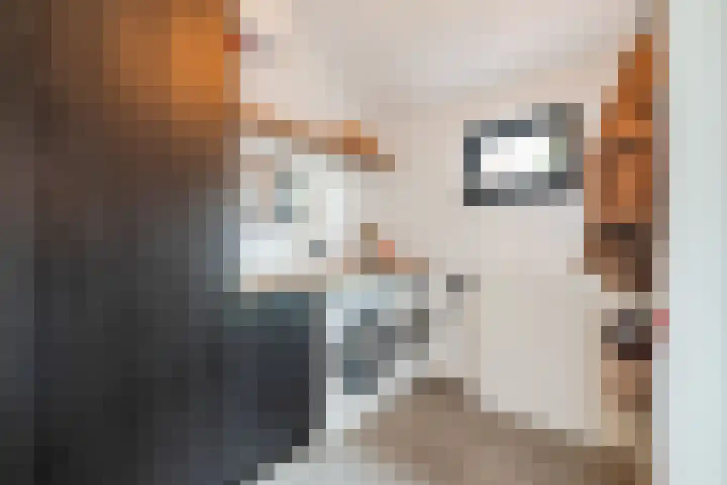 Tuinstraat 7 Budel thumbnail 17