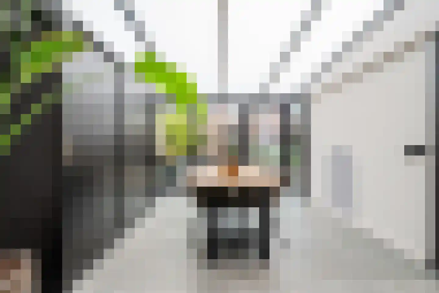 Tuinstraat 7 Budel thumbnail 20