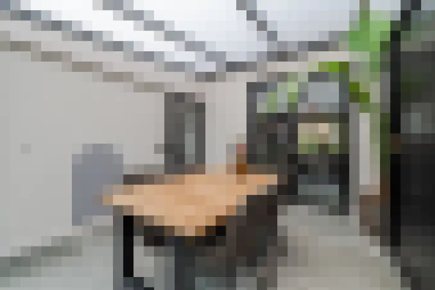 Tuinstraat 7 Budel thumbnail 22