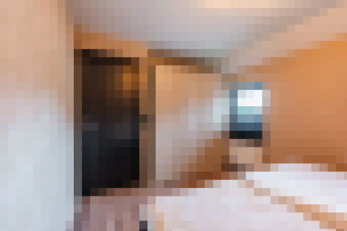 Tuinstraat 7 Budel thumbnail 27