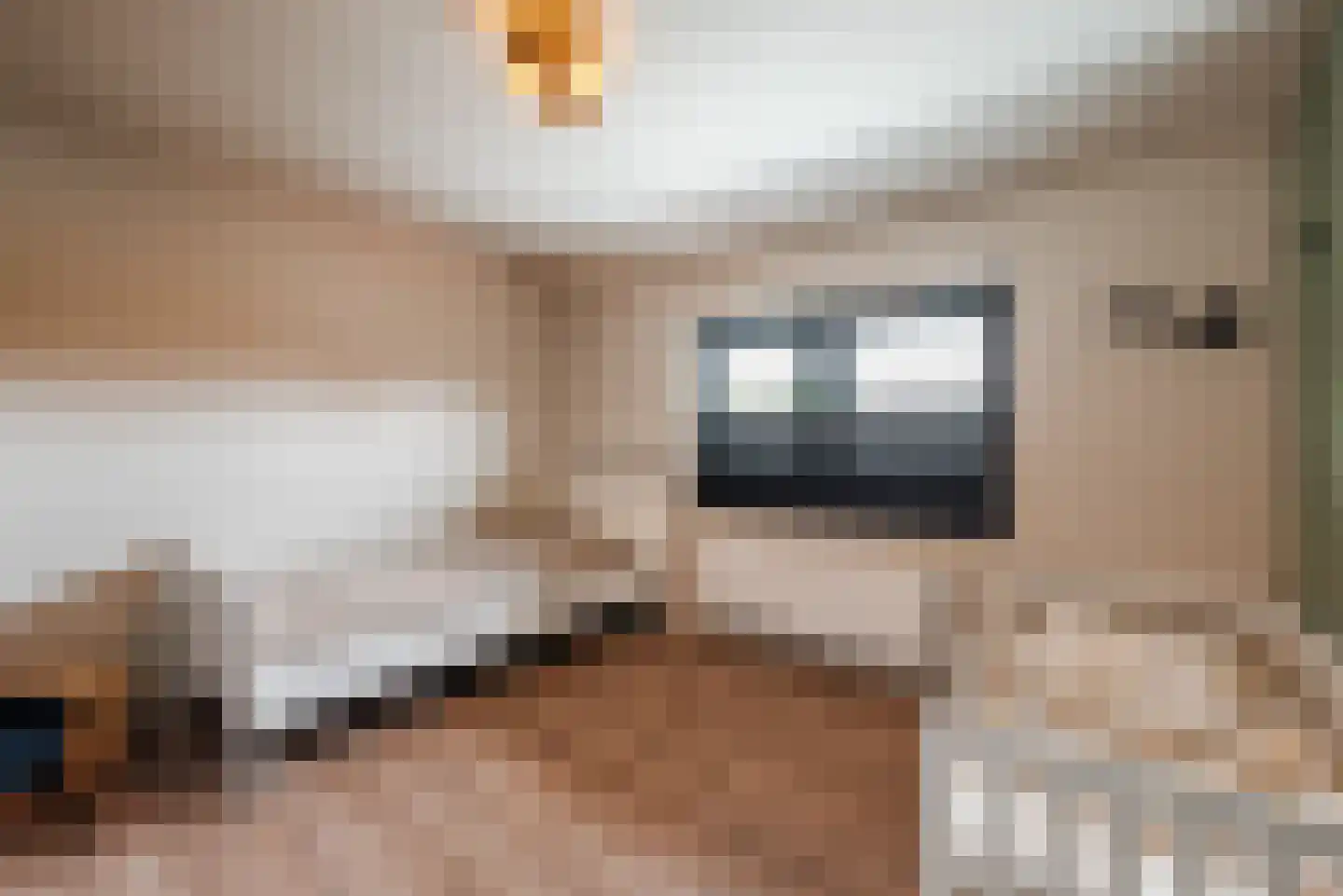Tuinstraat 7 Budel thumbnail 28