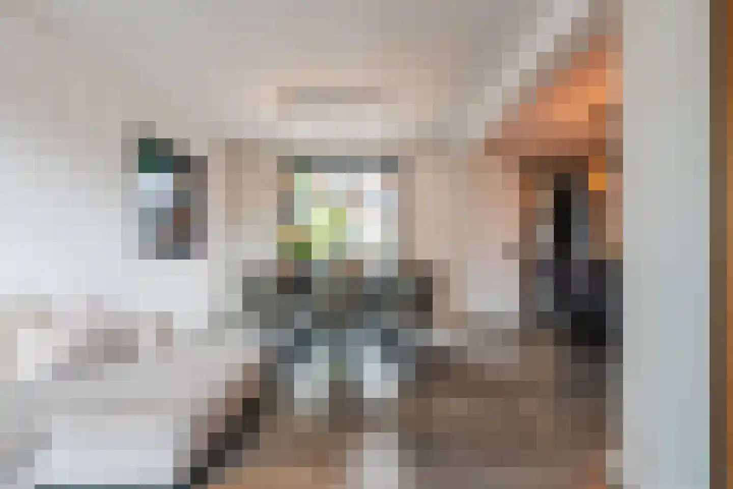 Tuinstraat 7 Budel thumbnail 4
