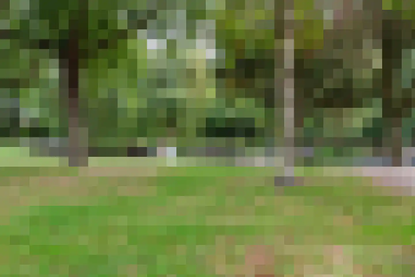 Tuinstraat 7 Budel thumbnail 54