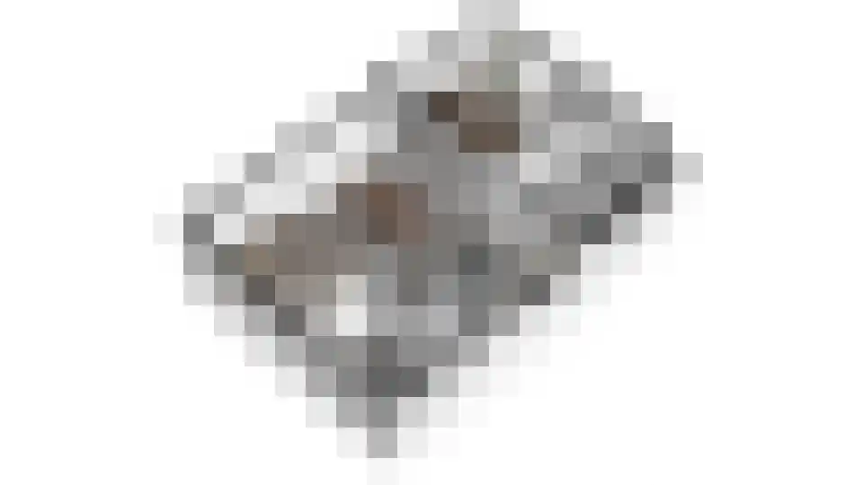 Tuinstraat 7 Budel thumbnail 58