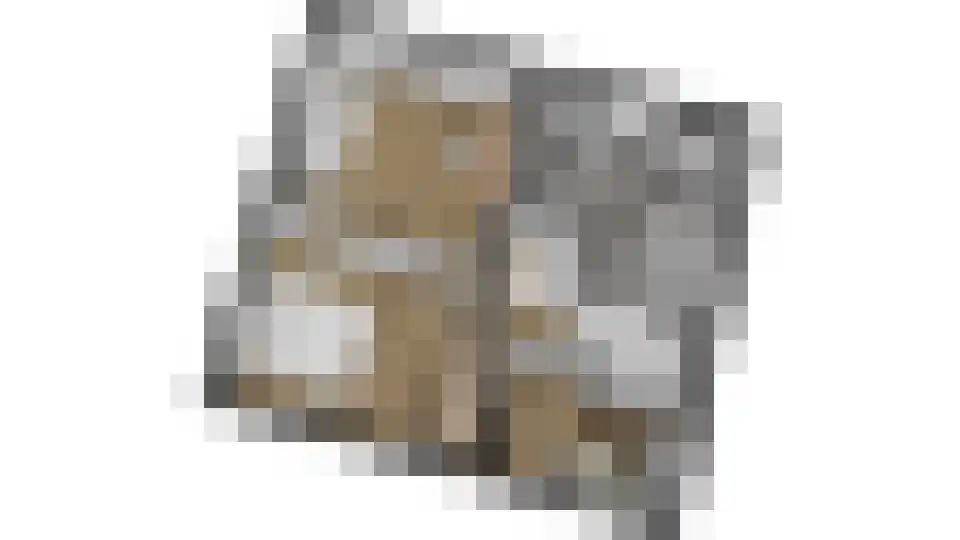 Tuinstraat 7 Budel thumbnail 60