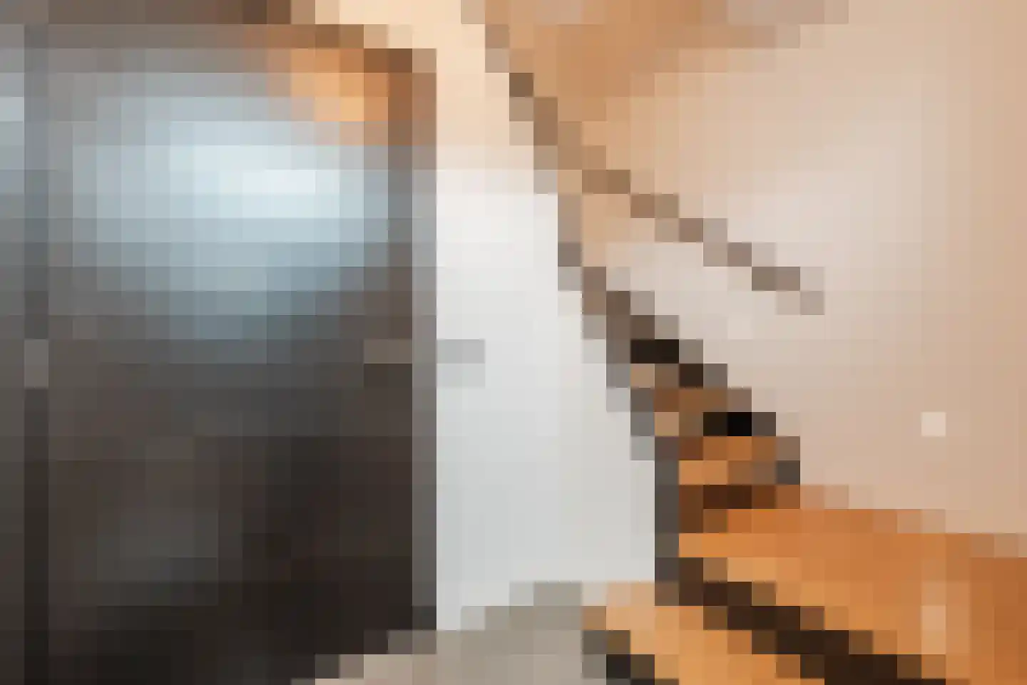 Tuinstraat 7 Budel thumbnail 7