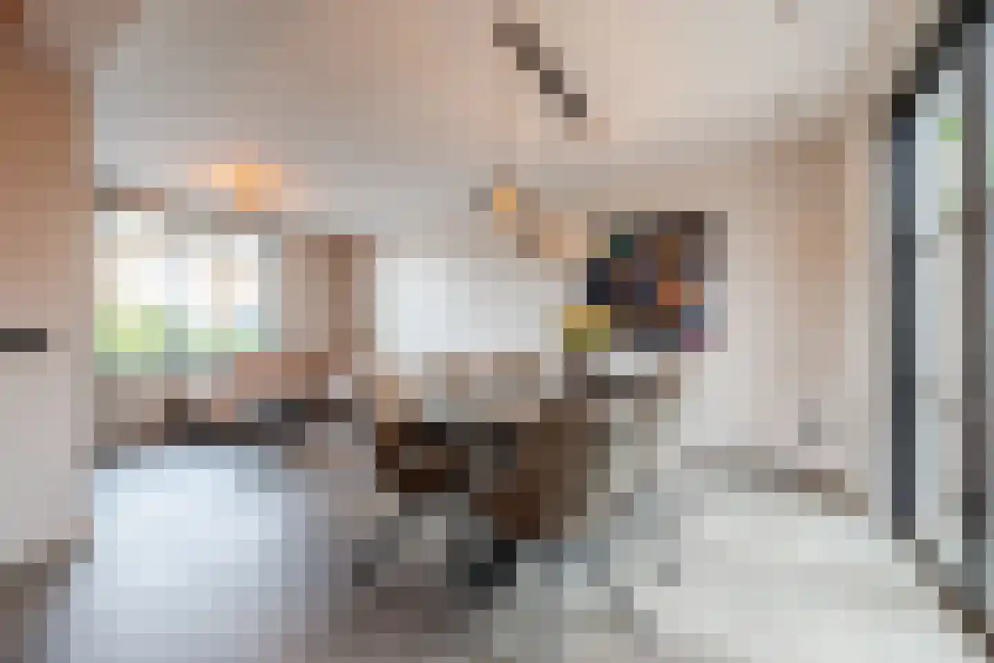 Tuinstraat 7 Budel thumbnail 9