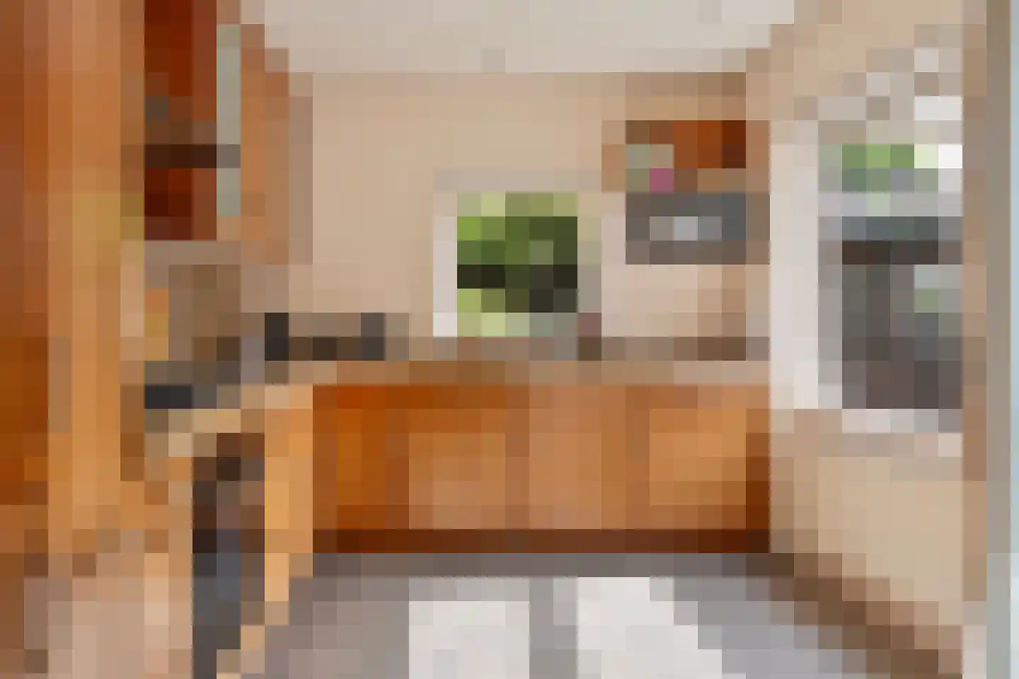 Tuinstraat 7 C Den Dungen thumbnail 14