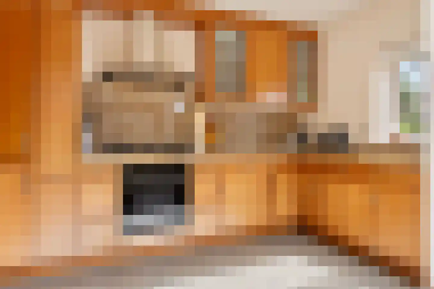 Tuinstraat 7 C Den Dungen thumbnail 15