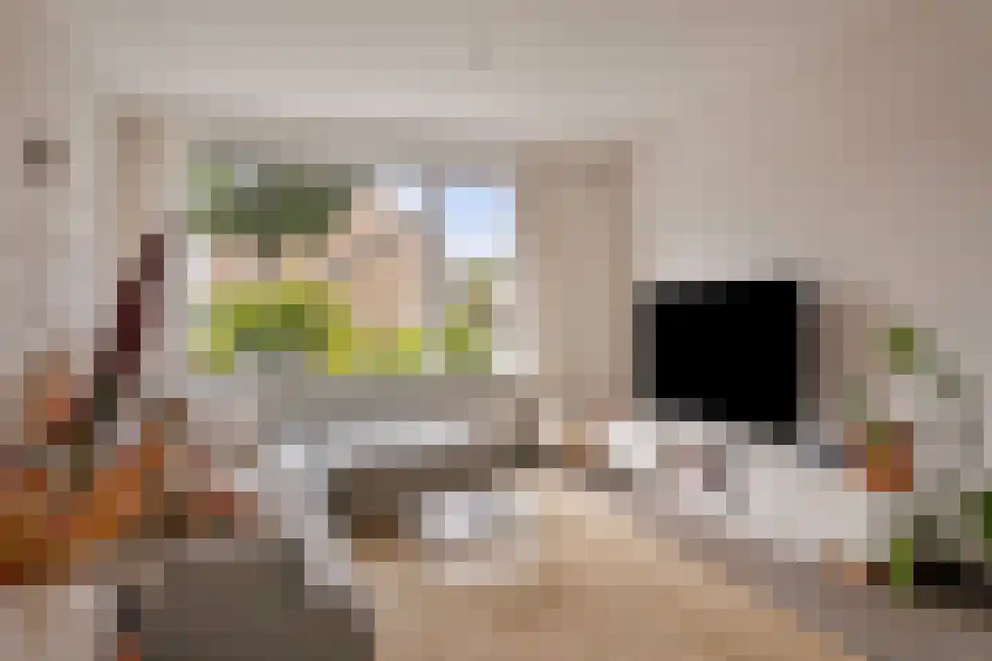 Tuinstraat 7 C Den Dungen thumbnail 8