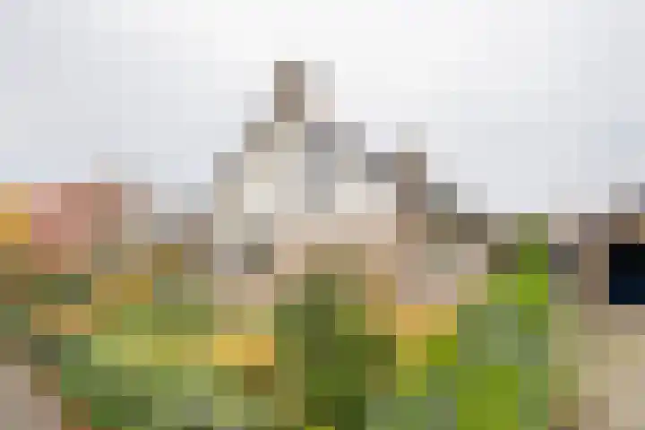 Tuinstraat 7 Nijkerk thumbnail 39