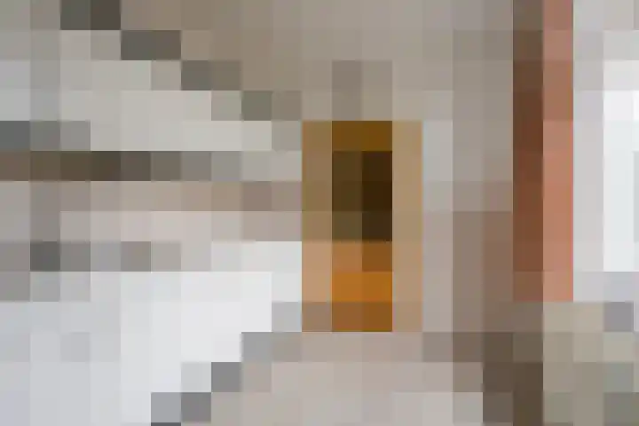 Tuinstraat 7 Nijkerk thumbnail 9