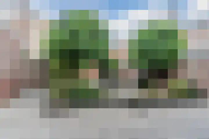 Tuinstraat 7 Rijen thumbnail 19
