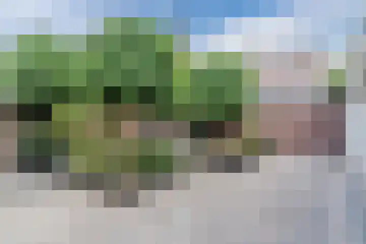 Tuinstraat 7 Rijen thumbnail 20