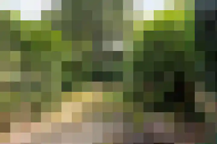 Tuinstraat 70 De Bilt thumbnail 37