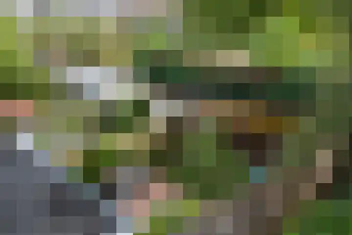 Tuinstraat 70 De Bilt thumbnail 38