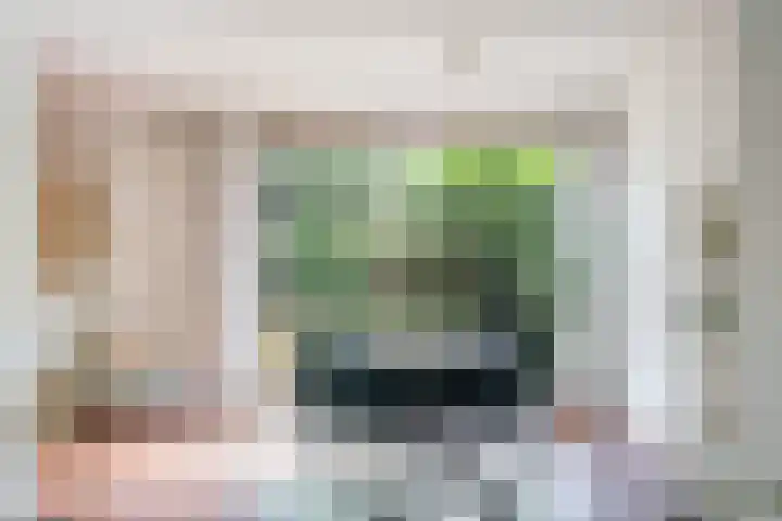 Tuinstraat 70 De Bilt thumbnail 6
