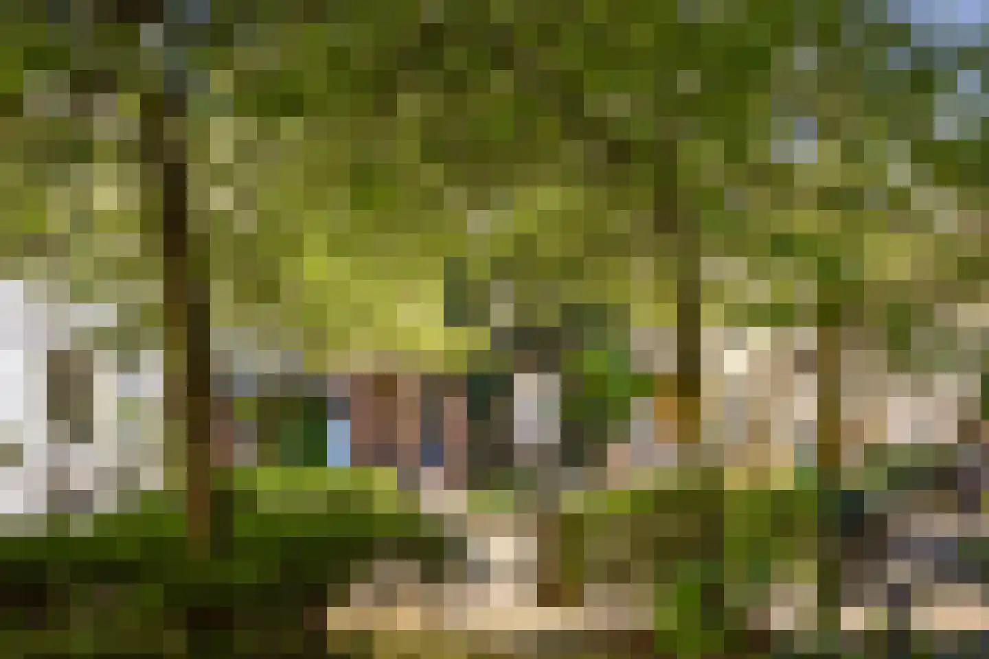 Tuinstraat 71 2 Amsterdam thumbnail 20