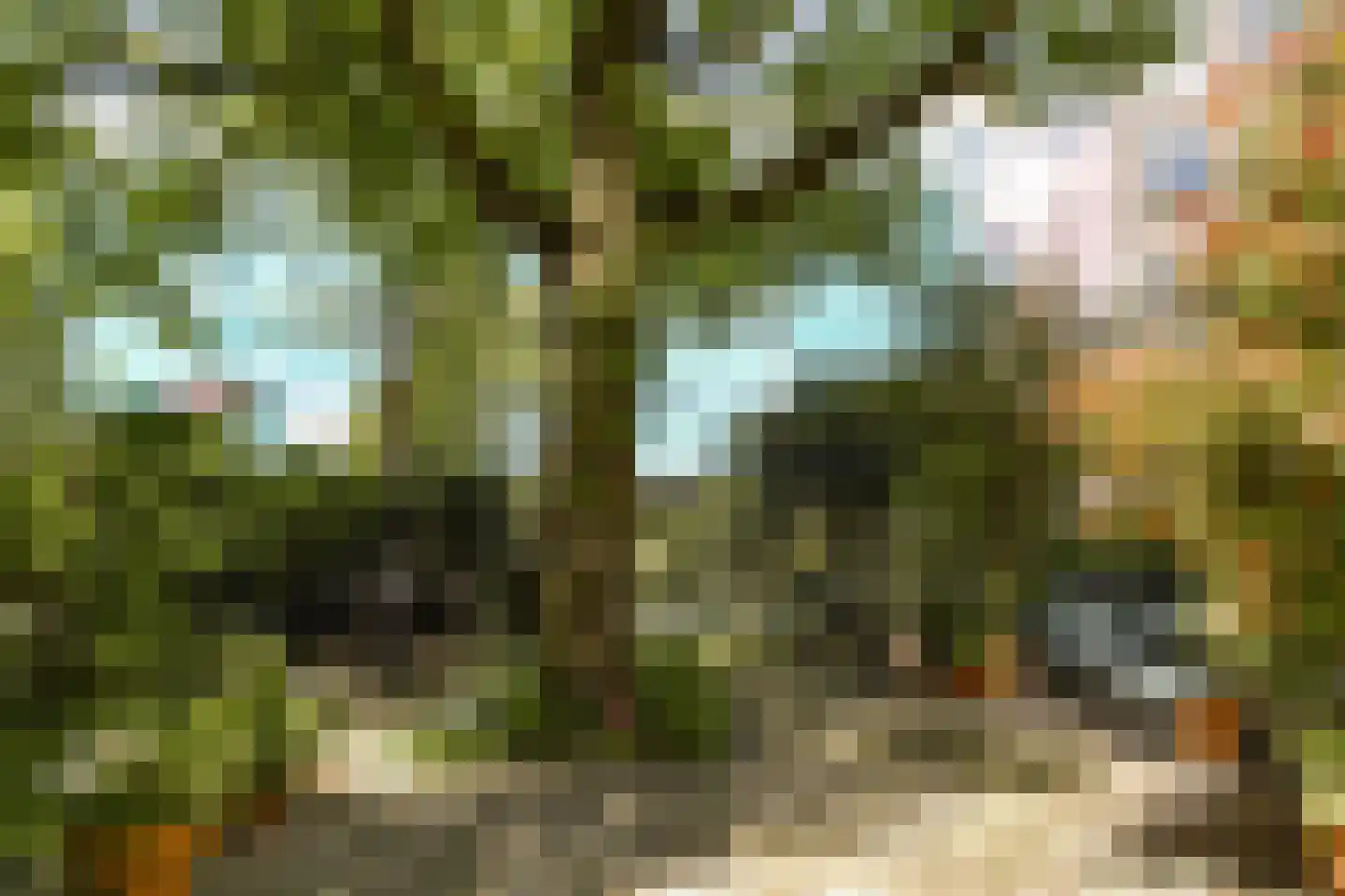 Tuinstraat 71 2 Amsterdam thumbnail 21