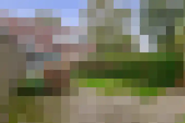 Tuinstraat 77 Krimpen aan den IJssel thumbnail 23