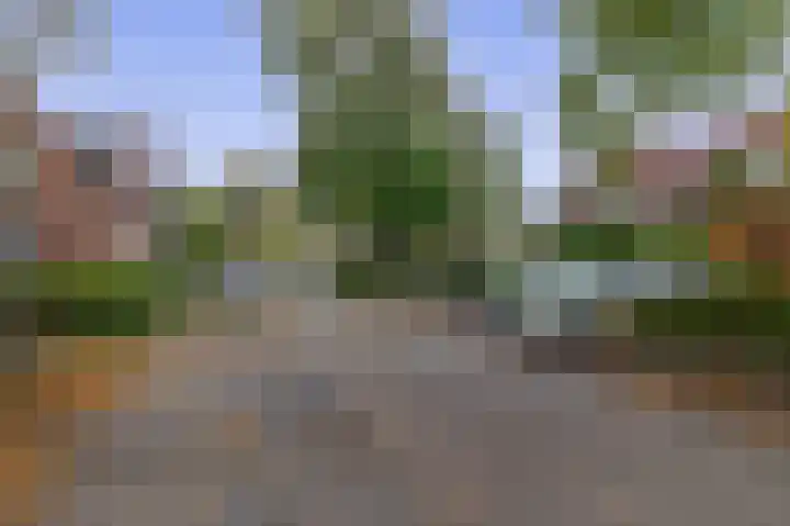 Tuinstraat 77 Krimpen aan den IJssel thumbnail 28
