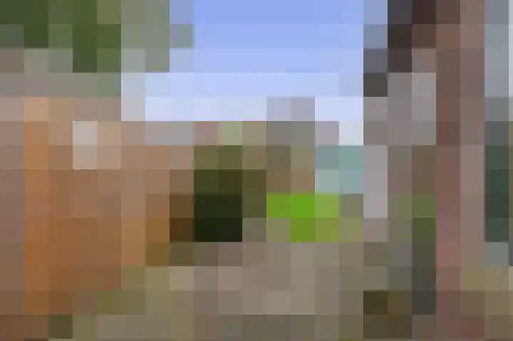 Tuinstraat 77 Krimpen aan den IJssel foto 3