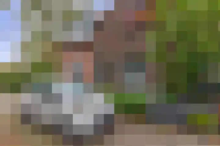 Tuinstraat 77 Krimpen aan den IJssel thumbnail 5