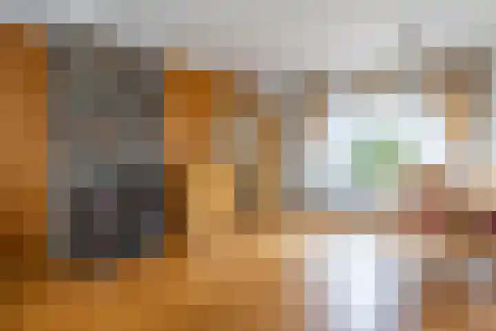 Tuinstraat 8 b Wellerlooi thumbnail 14