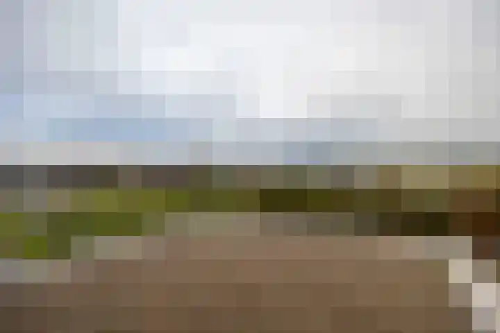 Tuinstraat 8 b Wellerlooi thumbnail 23
