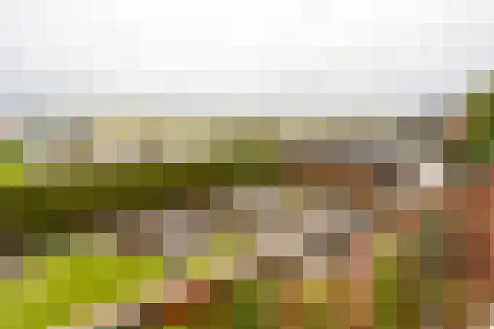 Tuinstraat 8 b Wellerlooi thumbnail 24