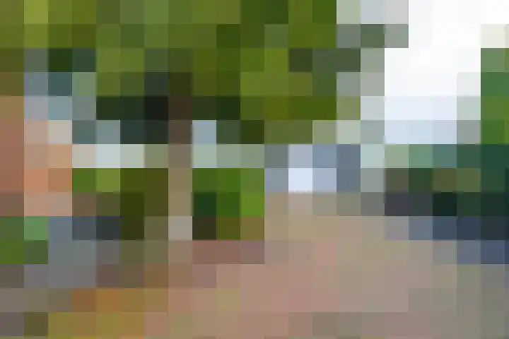Tuinstraat 8 b Wellerlooi thumbnail 31